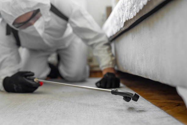 Professional Bed Bug Control technician working in Harvey, MI