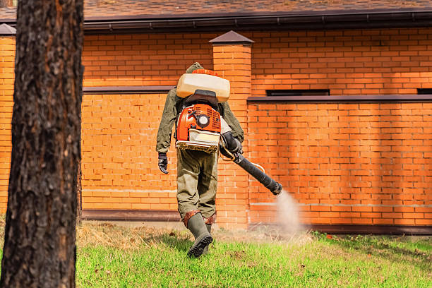 Top rated local Bed Bug Control specialists in Harvey, MI